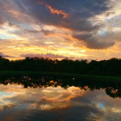 Beautiful sunset view of the pond and RV sites at Shady Lakes RV Resort