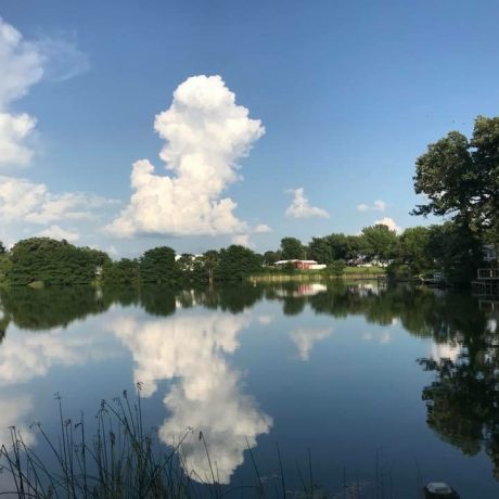 view of the pond and RV sites at Shady Lakes RV Resort